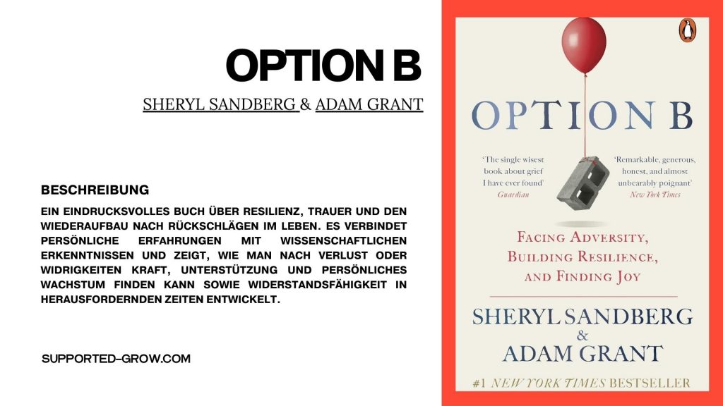 Option B von Sheryl Sandberg